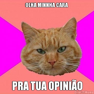 OLHA MINNHA CARA  PRA TUA OPINIO