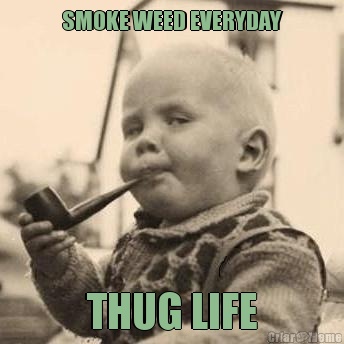 SMOKE WEED EVERYDAY THUG LIFE