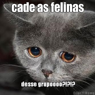 cade as felinas  desse grupoooo?!?!?