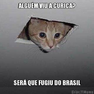 ALGUM VIU A CURICA? SER QUE FUGIU DO BRASIL