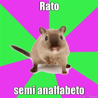 Rato semi analfabeto