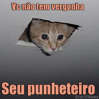 Vc no tem vergonha   Seu punheteiro 