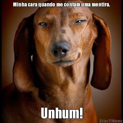 Minha cara quando me contam uma mentira. Unhum!