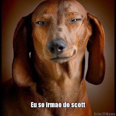  Eu so irmao do scott