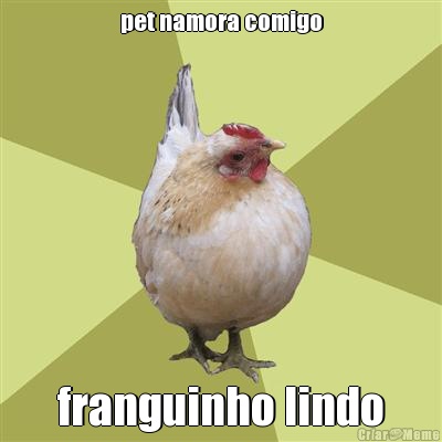 pet namora comigo franguinho lindo