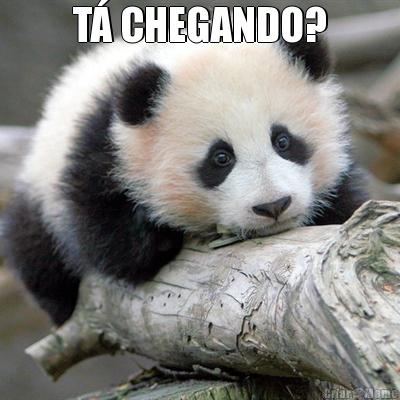 T CHEGANDO? 