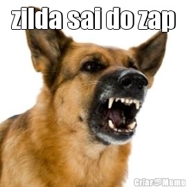 zilda sai do zap 