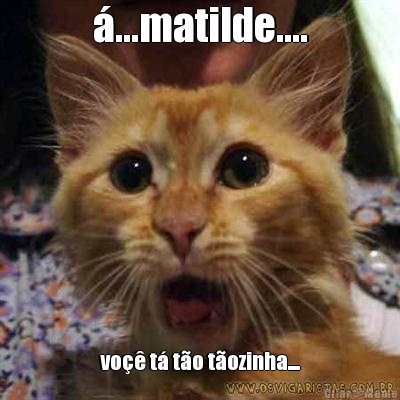 ...matilde.... vo t to tozinha....