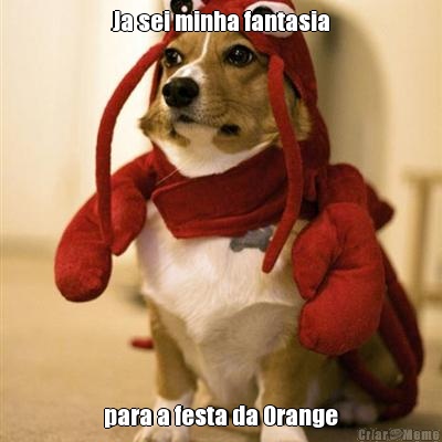 Ja sei minha fantasia para a festa da Orange