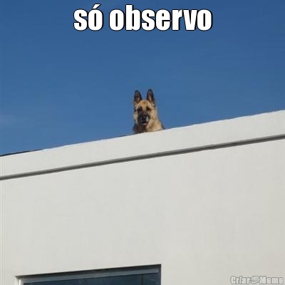 s observo 