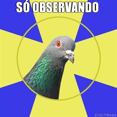 S OBSERVANDO  