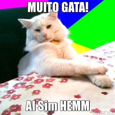 MUITO GATA! AI Sim HEMM