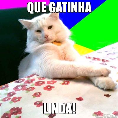 QUE GATINHA LINDA!