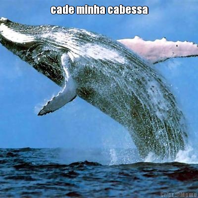 cade minha cabessa 