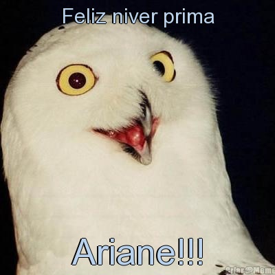 Feliz niver prima Ariane!!!