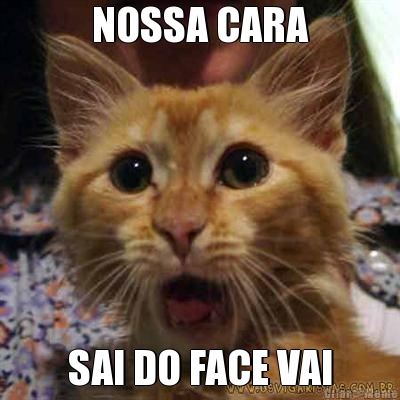 NOSSA CARA SAI DO FACE VAI