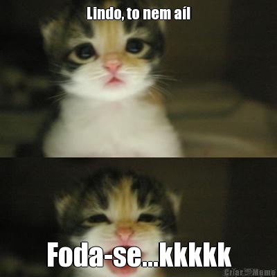 Lindo, to nem a! Foda-se...kkkkk