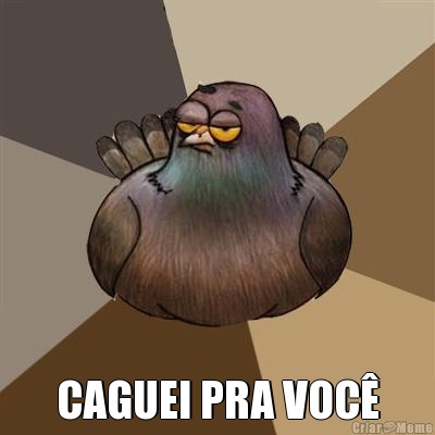  CAGUEI PRA VOC