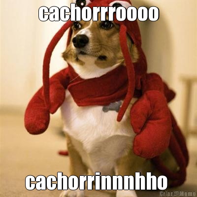 cachorrroooo cachorrinnnhho 