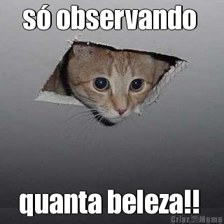 s observando  quanta beleza!! 