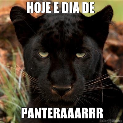 HOJE E DIA DE  PANTERAAARRR