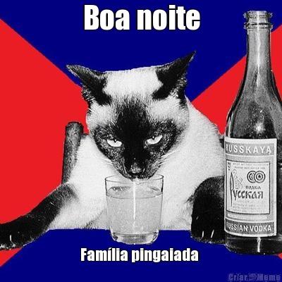 Boa noite Famlia pingaiada 