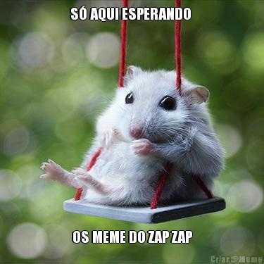 S AQUI ESPERANDO  OS MEME DO ZAP ZAP