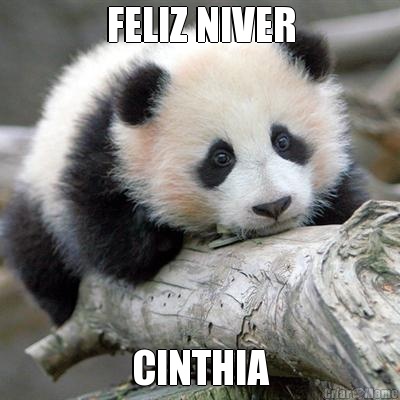 FELIZ NIVER CINTHIA