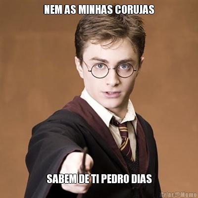 NEM AS MINHAS CORUJAS SABEM DE TI PEDRO DIAS