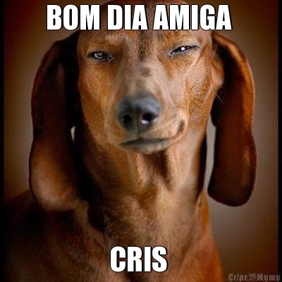 BOM DIA AMIGA  CRIS 