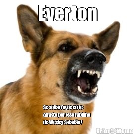 Everton Se soltar fogos eu te
arrasto por esse rabinho
de Wesley Safado!
