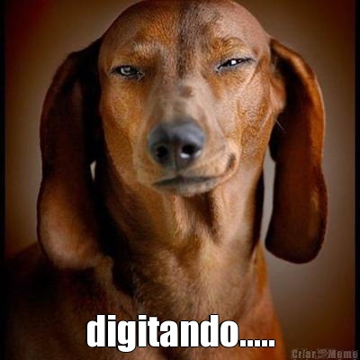  digitando.....