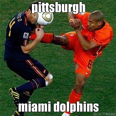 pittsburgh miami dolphins