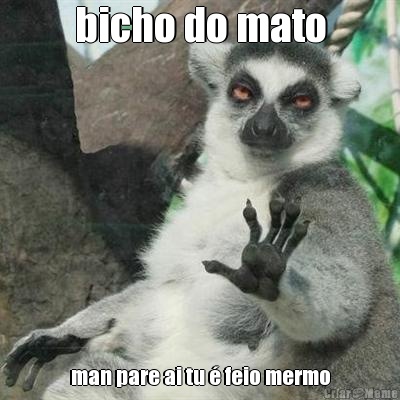 bicho do mato man pare ai tu  feio mermo