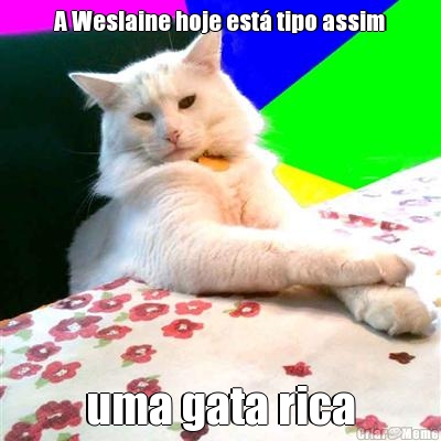 A Weslaine hoje est tipo assim uma gata rica