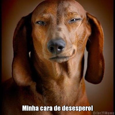  Minha cara de desespero!