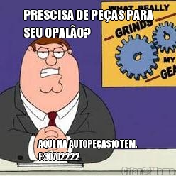 PRESCISA DE PEAS PARA
SEU OPALO? AQUI NA AUTOPEAS10 TEM.
F:30702222