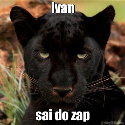 ivan sai do zap