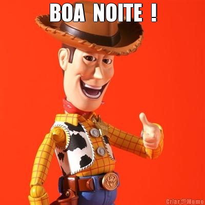 BOA  NOITE  ! 