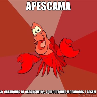 APESCAMA ASSOCIAO DE PESC. CATADORES DE CARANGUEJOS, AQUICULTORES,MORADORES E ASSEM DE CAMPO GRANDE 