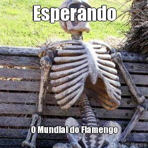Esperando O Mundial do Flamengo