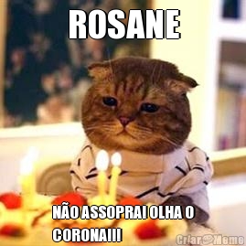 ROSANE NO ASSOPRA! OLHA O
CORONA!!!