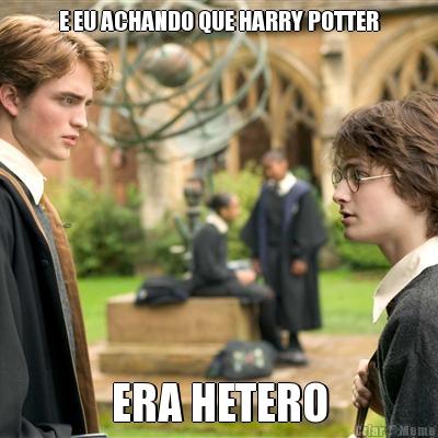 E EU ACHANDO QUE HARRY POTTER ERA HETERO