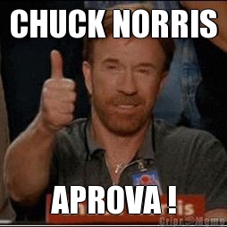 CHUCK NORRIS APROVA !