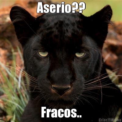 Aserio?? Fracos..