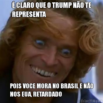  CLARO QUE O TRUMP NO TE
REPRESENTA POIS VOCE MORA NO BRASIL E NO
NOS EUA, RETARDADO