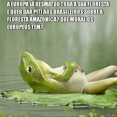 A EUROPA J DESMATOU TODA A SUA FLORESTA
E QUER DAR PITI AOS BRASILEIROS SOBRE A
FLORESTA AMAZONICA? QUE MORAL OS
EUROPEUS TEM? 