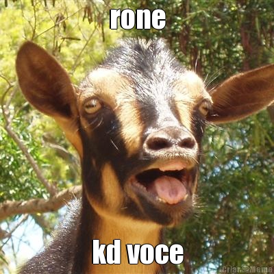 rone kd voce