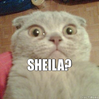   SHEILA? 