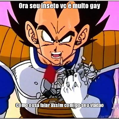 Ora seu inseto vc  muito gay Como ousa falar assim comigo seu viadao